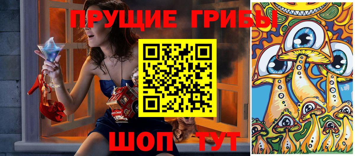 Лангепас  Галлюциногенные грибы Psilocybe  Вход с VPN 